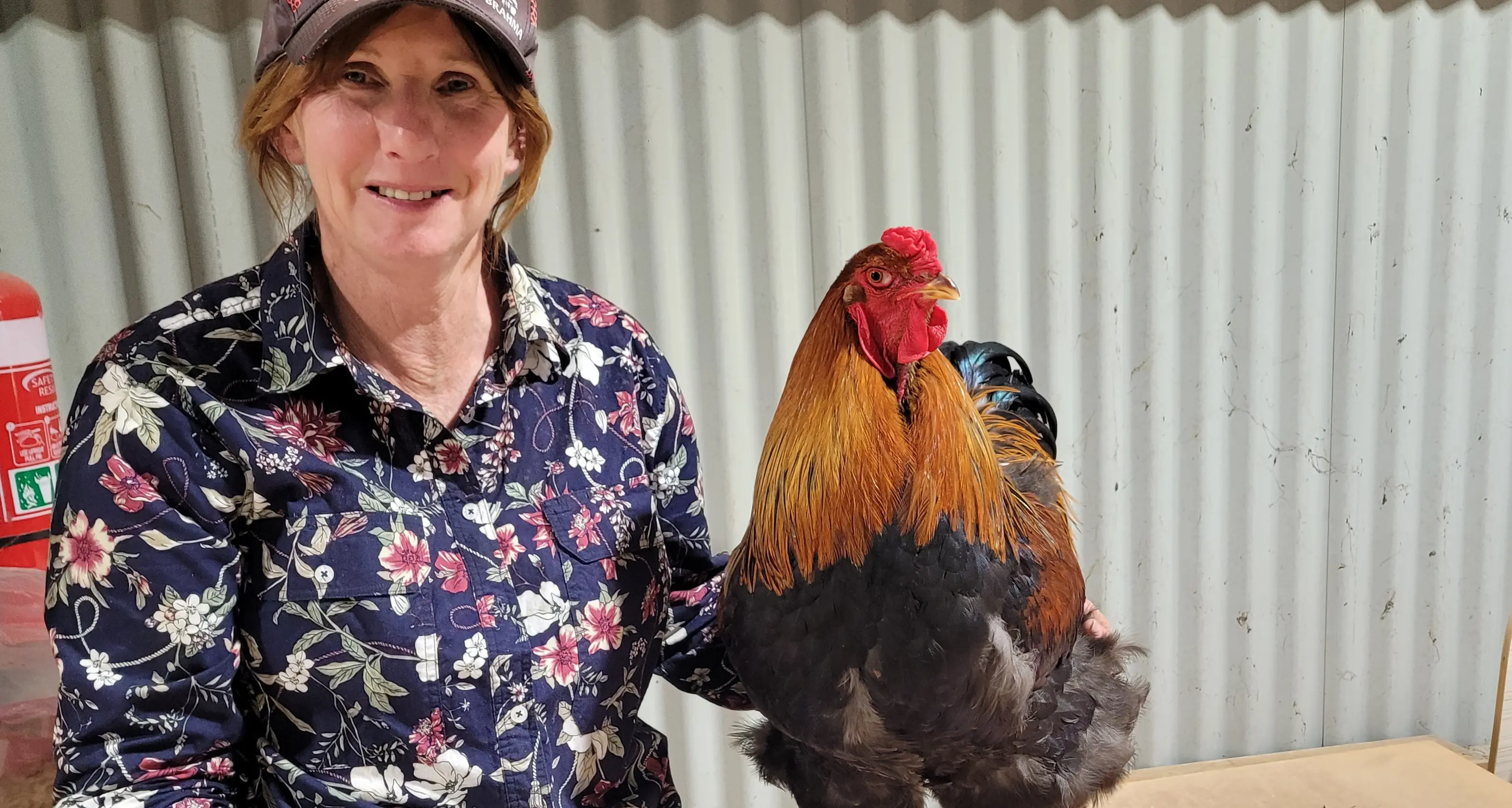 Agricultural show another fabulous success