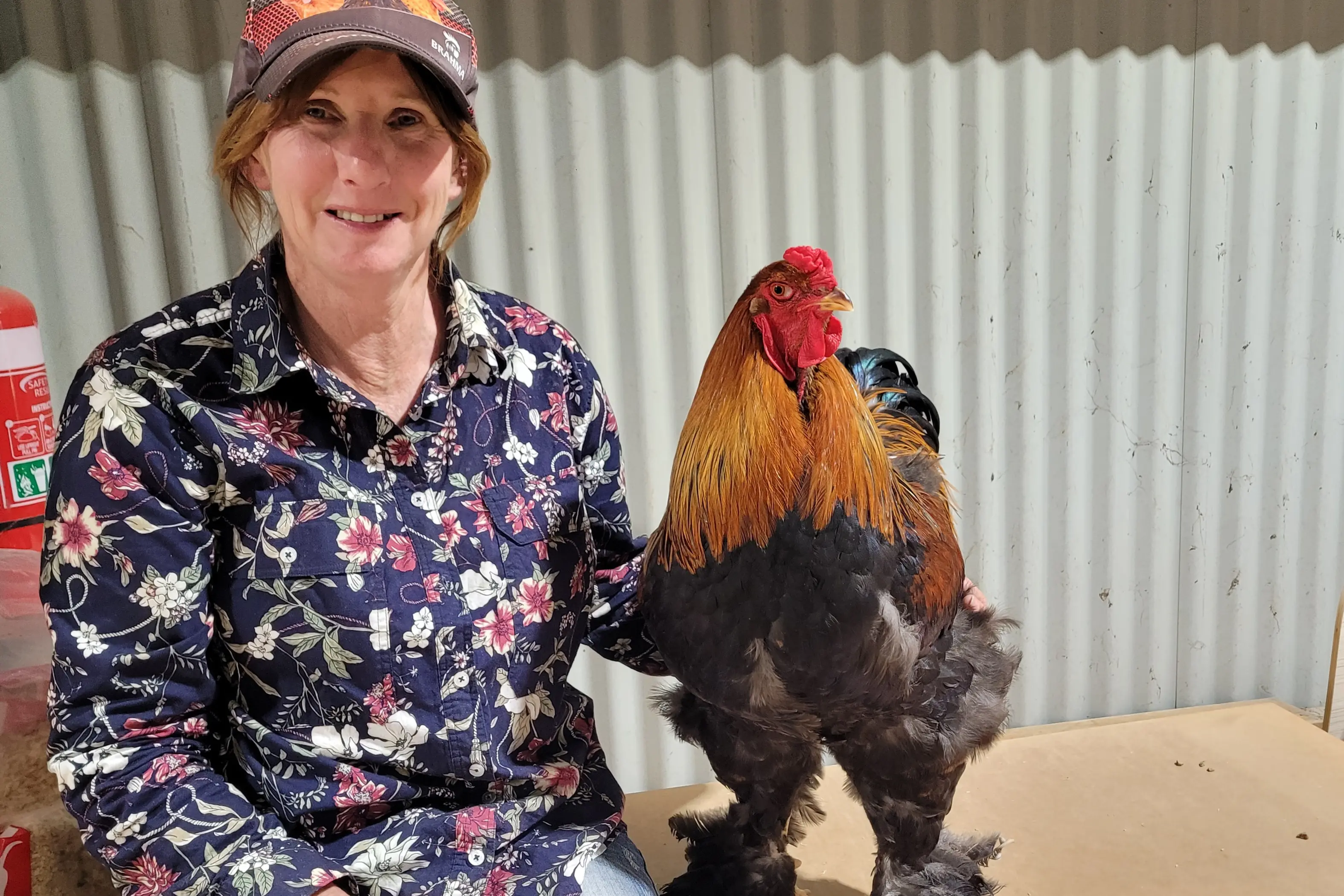 Agricultural show another fabulous success