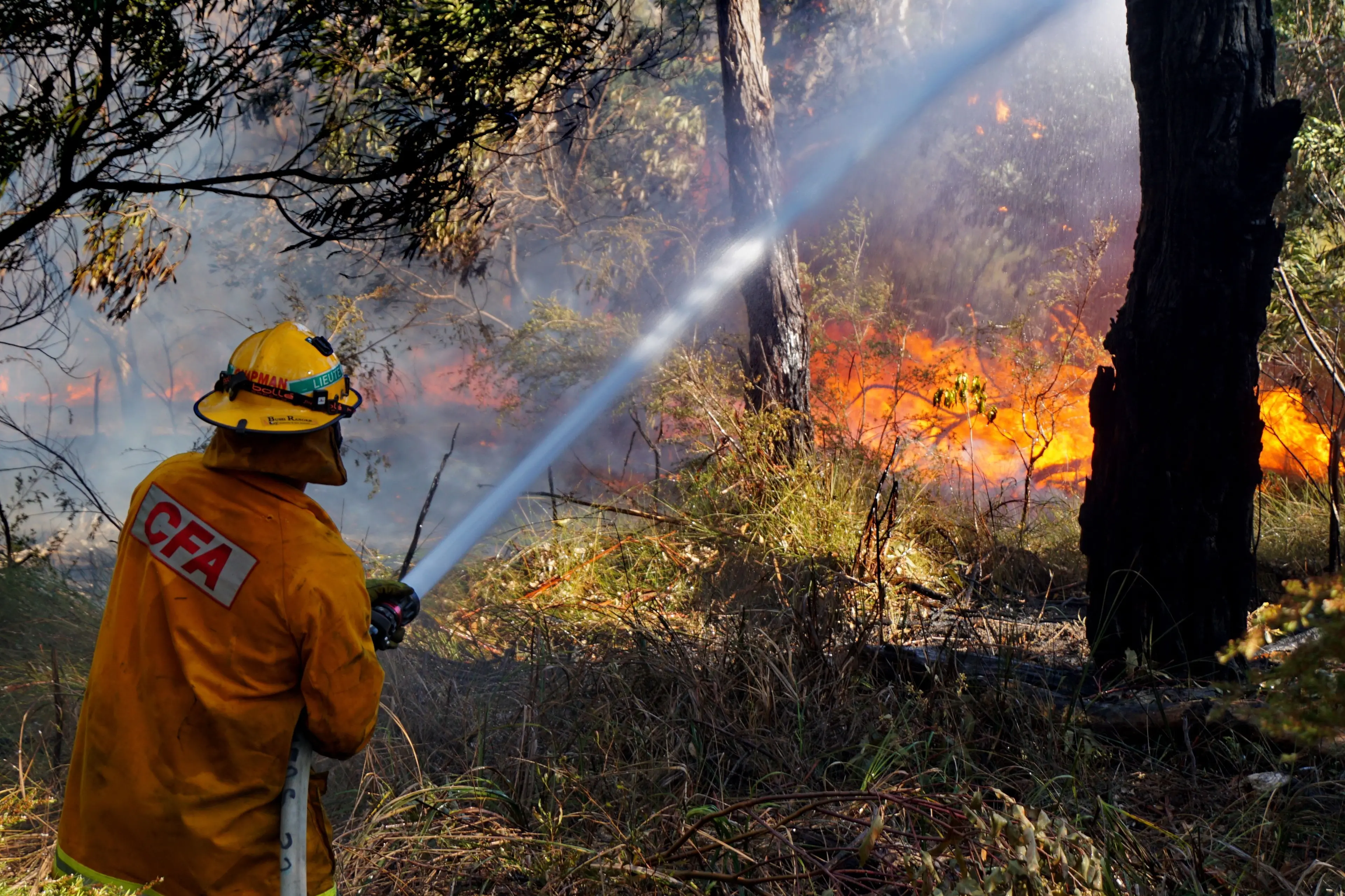 *Copy_fire restrictions _Image001_54892