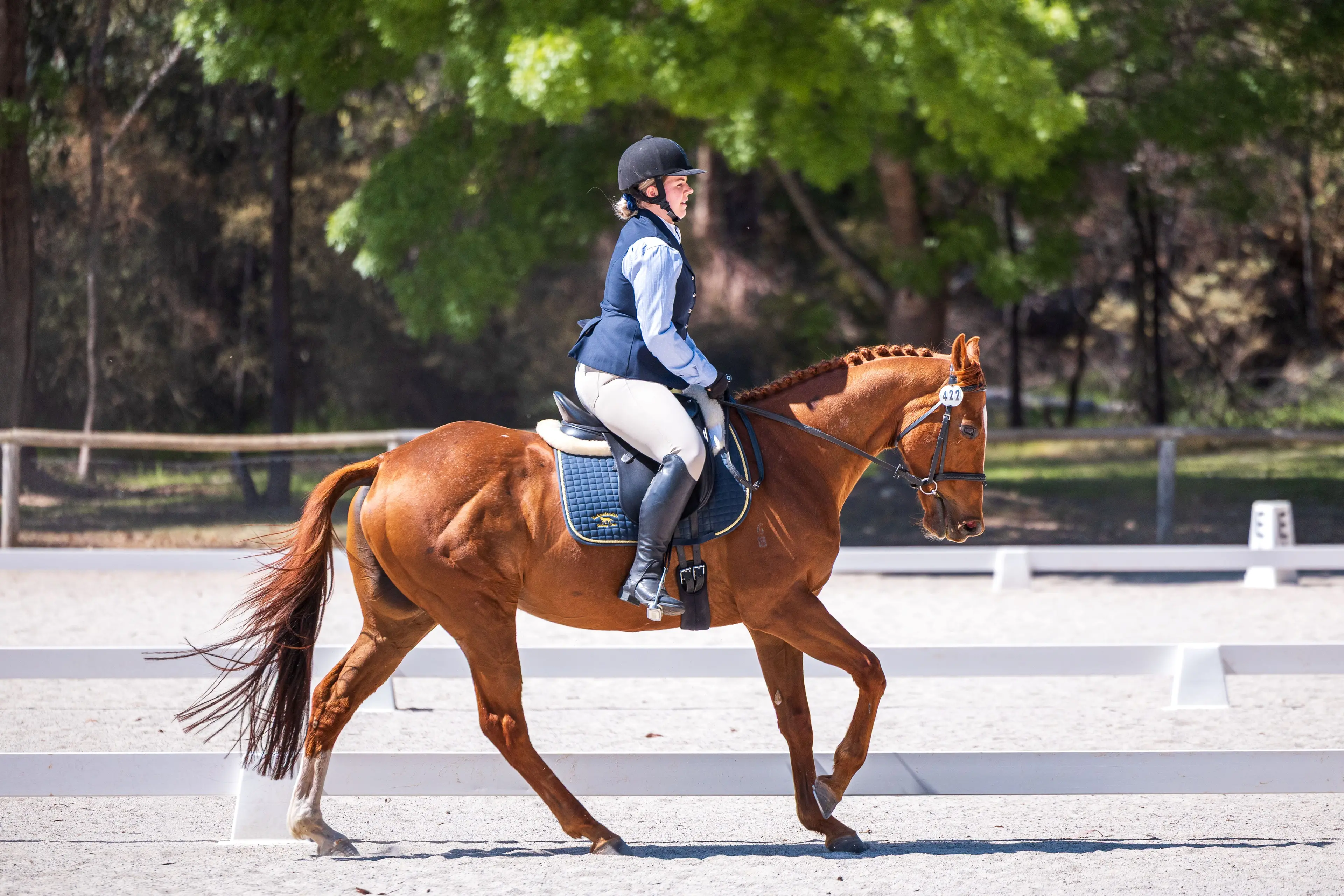 <p>TOP CLASS: A weekend to remember for riders in Yackandandah Riding Club\\u2019s dressage competition. PHOTO: Jodi Bussell, Grain & Mane.</p>\\n