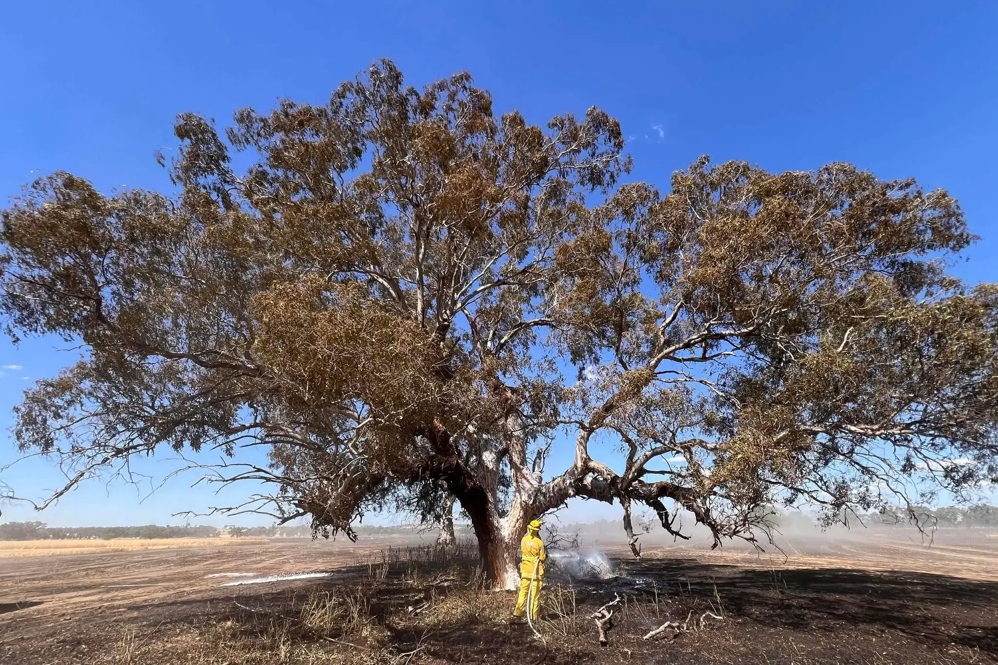 <p>UNDER CONTROL: Multiple CFA crews attended a 40 hectare blaze at Lilliput, caused by a mechanical header.  PHOTO: Rutherglen CFA</p>\\n
