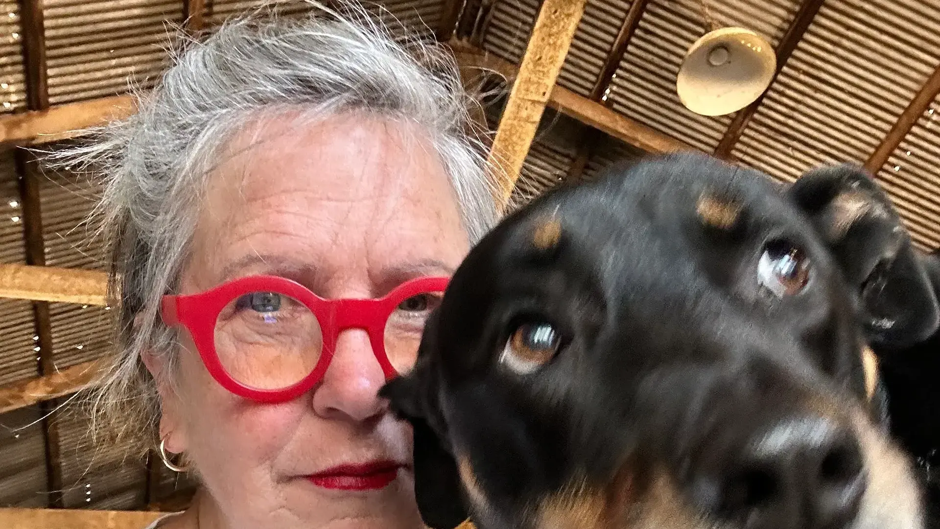 Indigo Interview: A love of community