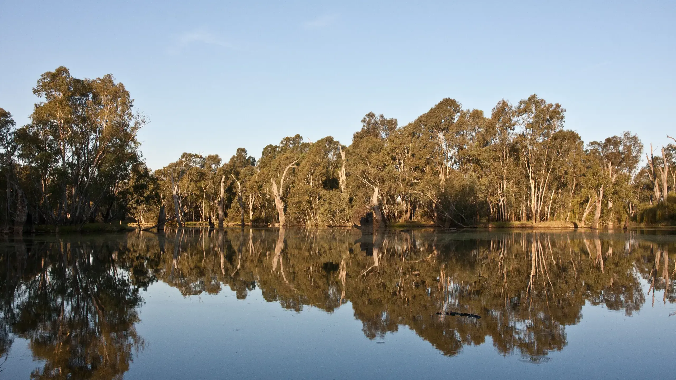 Call out to join water authority advisory group