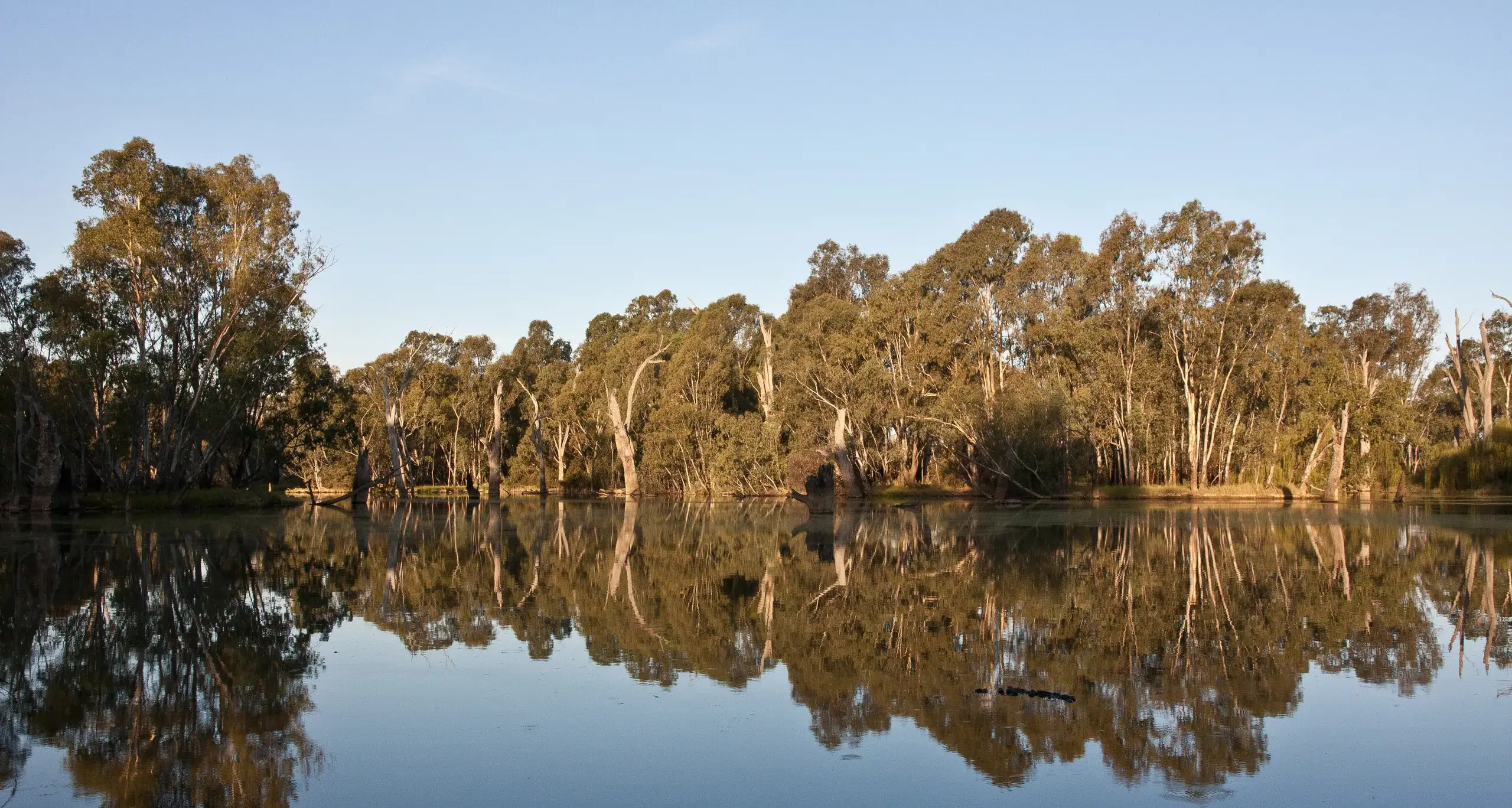 Call out to join water authority advisory group