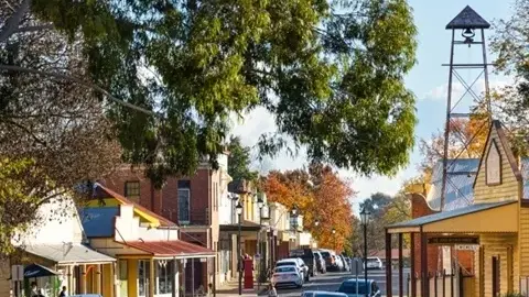Get to know your town