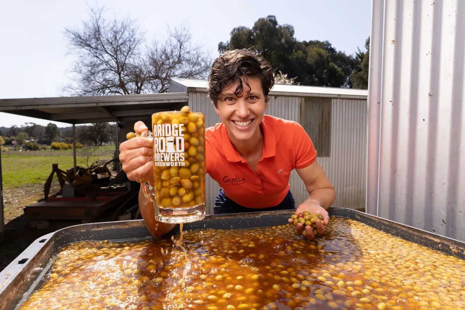 <p>OLIVES GALORE: Beechworth\\u2019s Gamila MacRury specialises in award-winning fermented table olives and saffron. PHOTO: Annie Brown</p>\\n