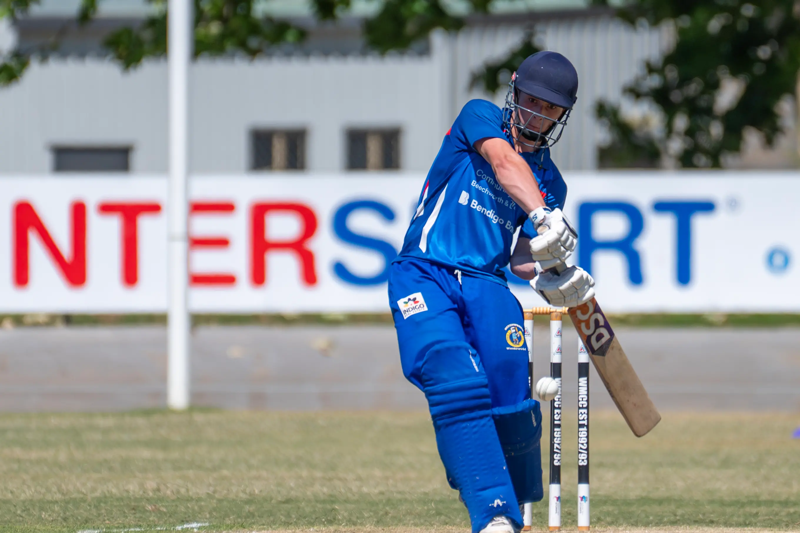 <p>READY TO LAUNCH: Will Prebble top scored for Beechworth in their impressive win at Wangaratta against the Magpies. PHOTOS: Melissa Beattie</p>\\n