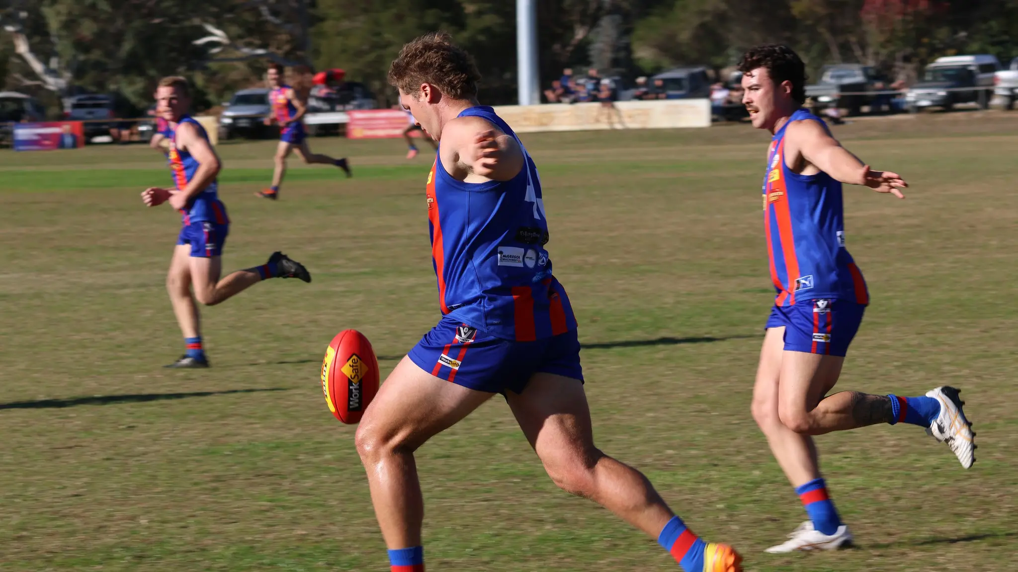 Brave ‘Bushies downed