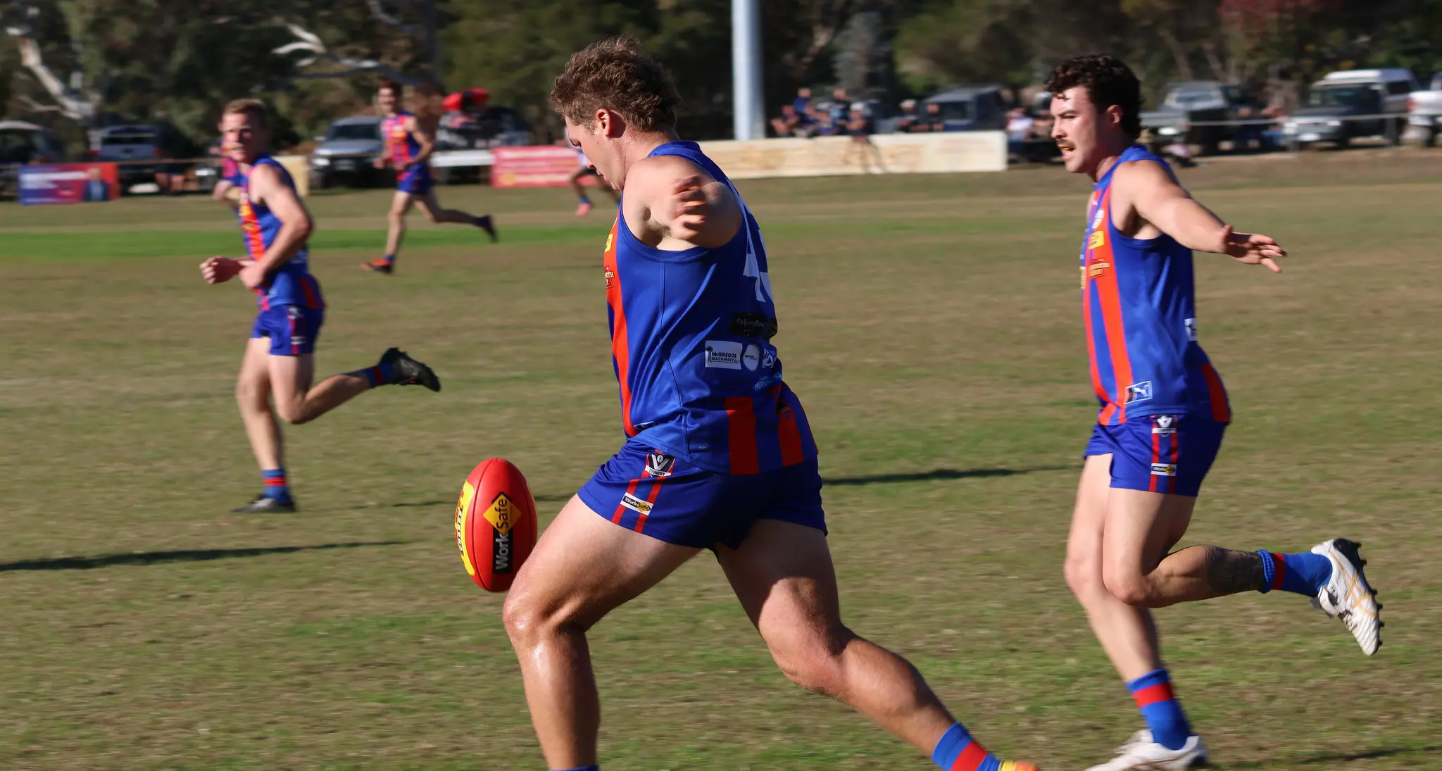 Brave ‘Bushies downed