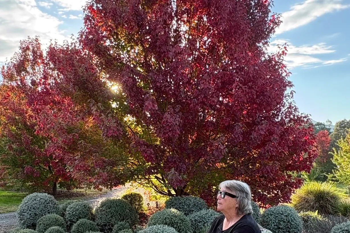 <p>GIVING BACK: Karen Keegan has become part of her community since settling in Osbornes Flat with volunteering a way of giving back to those around her. </p>\\n