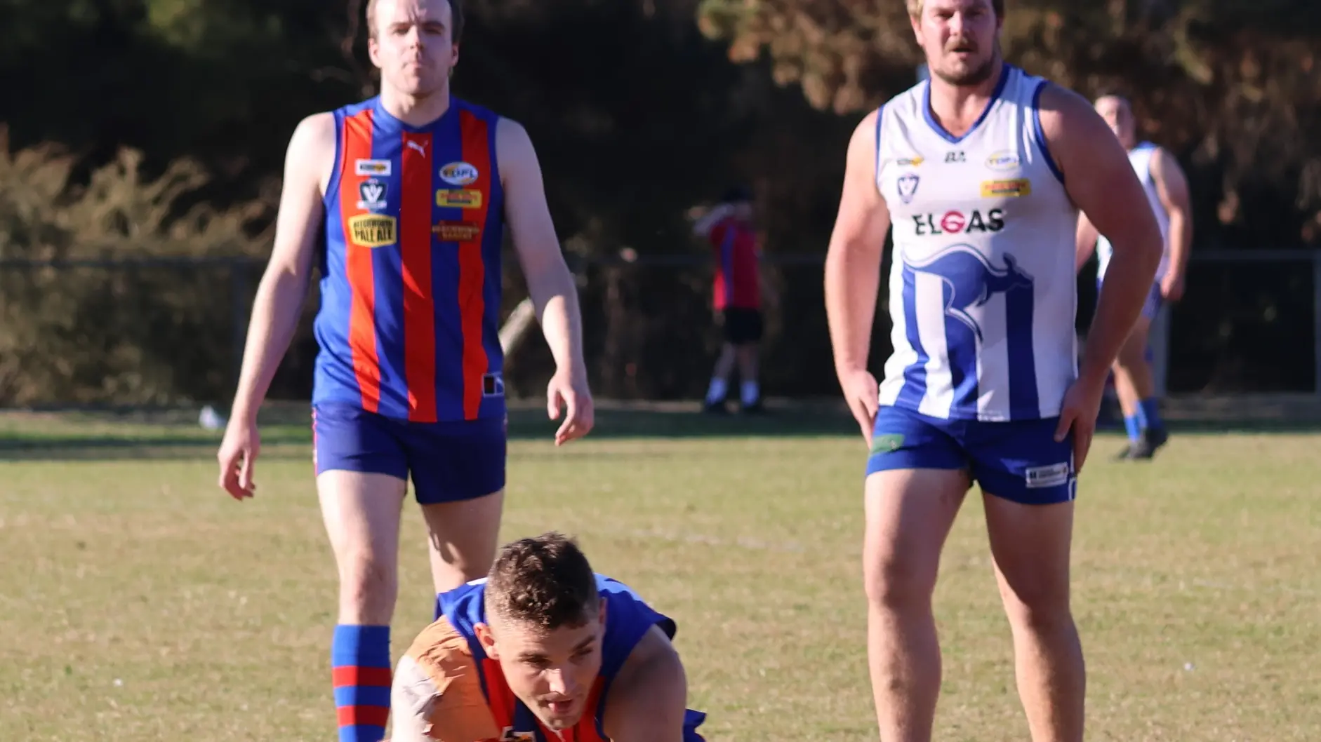Hawks too strong for senior ‘Bushies