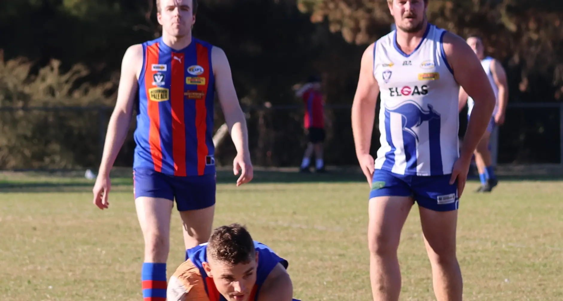 Hawks too strong for senior ‘Bushies