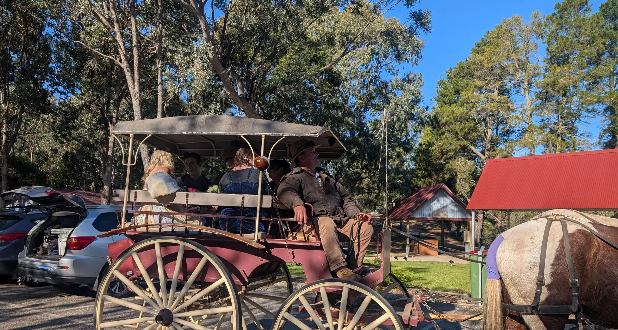 A night of enchantment in Beechworth
