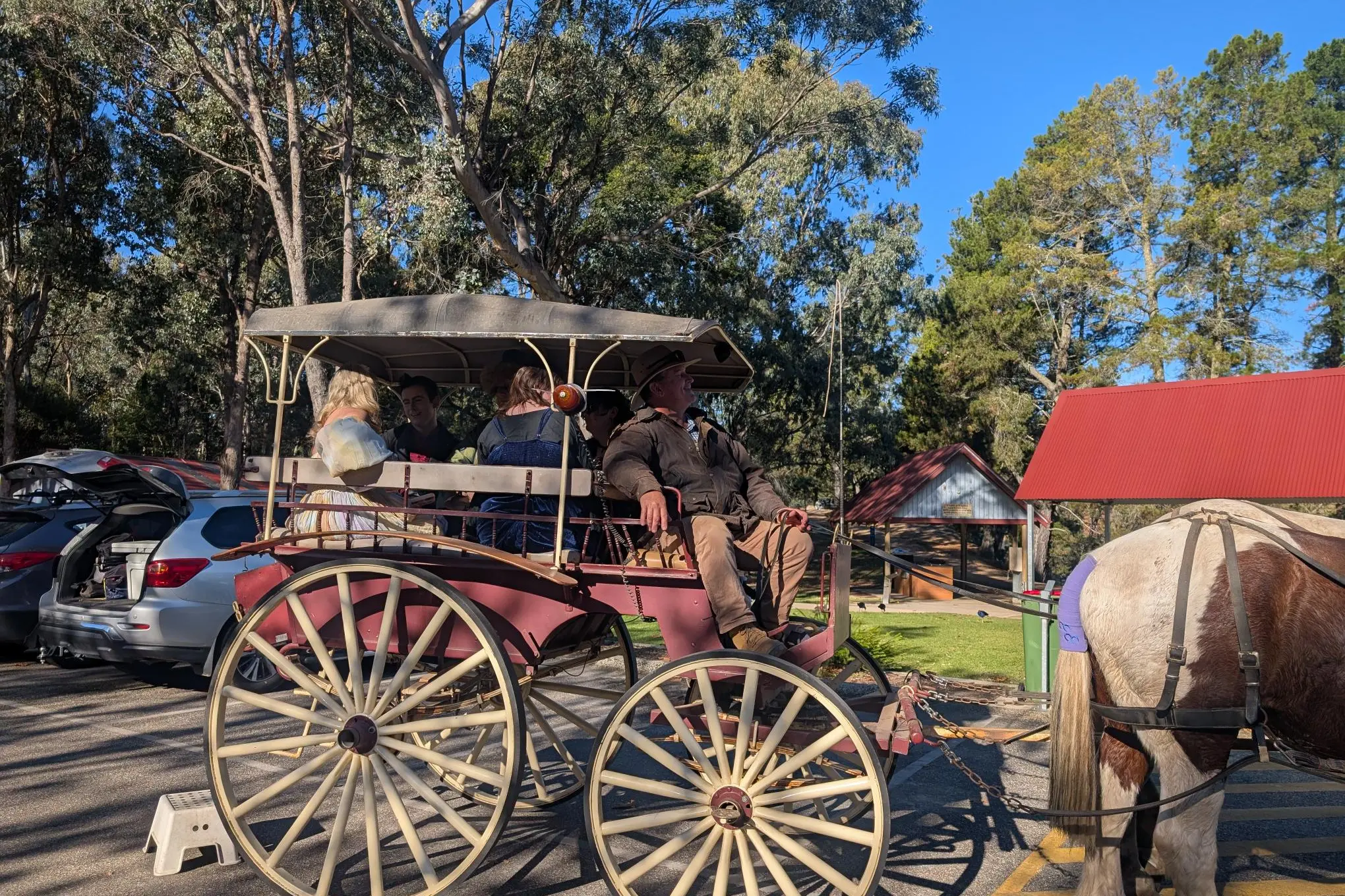 <p>ARRIVING IN STYLE: Warcry Wangaratta Dream Garden Fantasy Ball goers arrived in style on Saturday night, 9 May, on a horse-drawn carriage to mark a successful inaugural event for the group and its some 40 attendees.</p>\\n