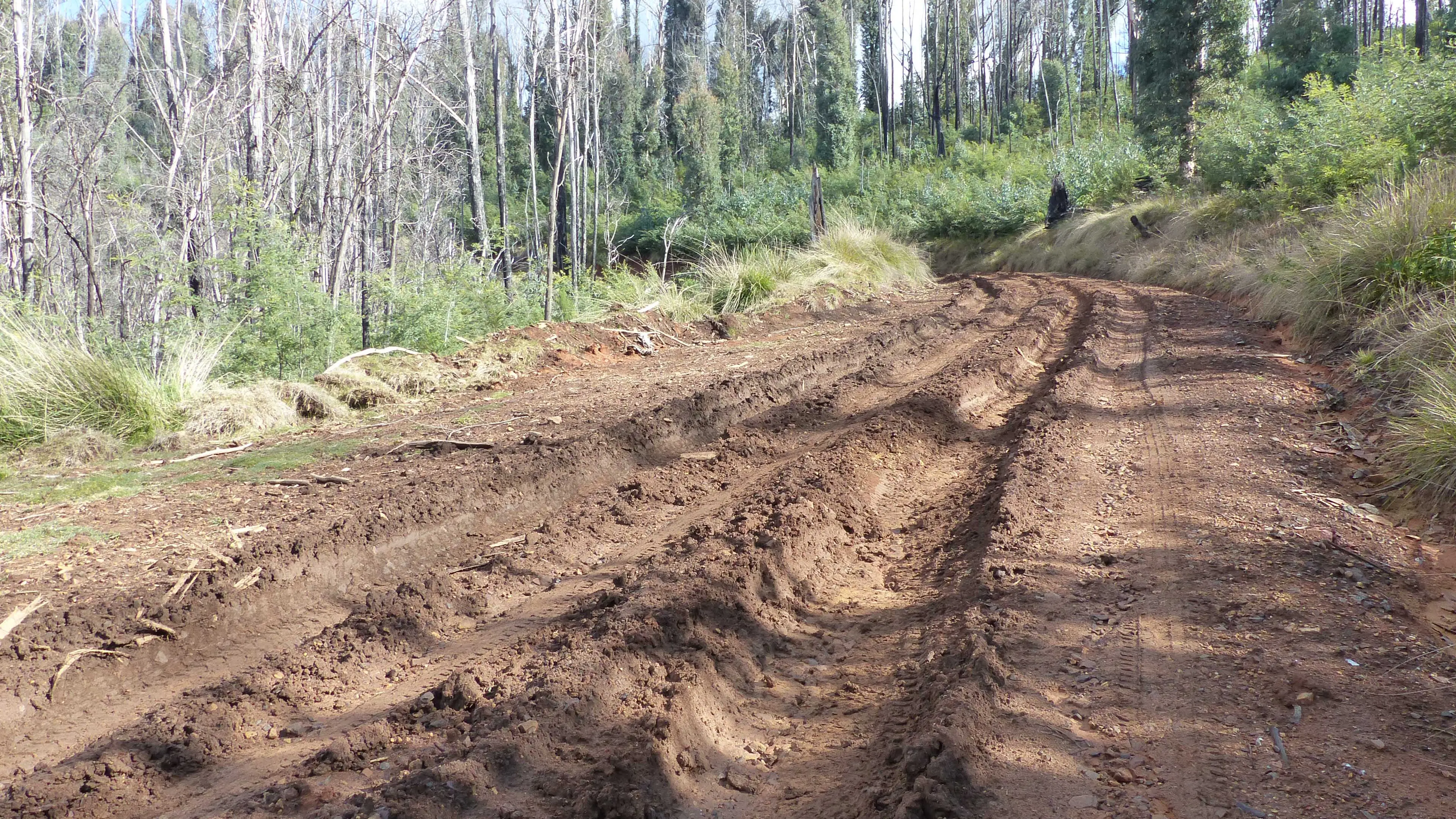 Winter road and track closures across public land