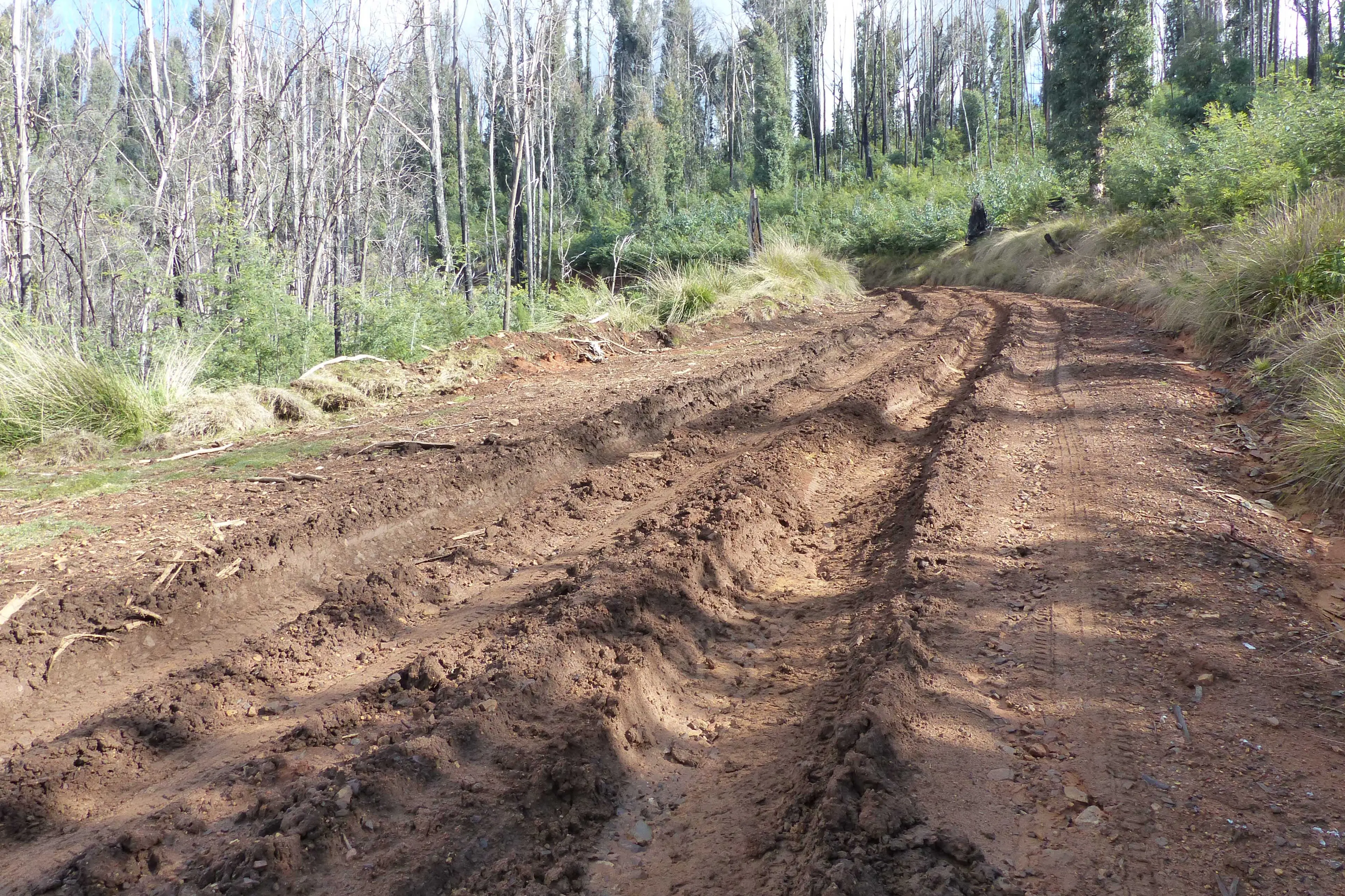 <p>OFF LIMITS: Many tracks in parks and forests will be closed during winter to prevent damage such as this.</p>\\n