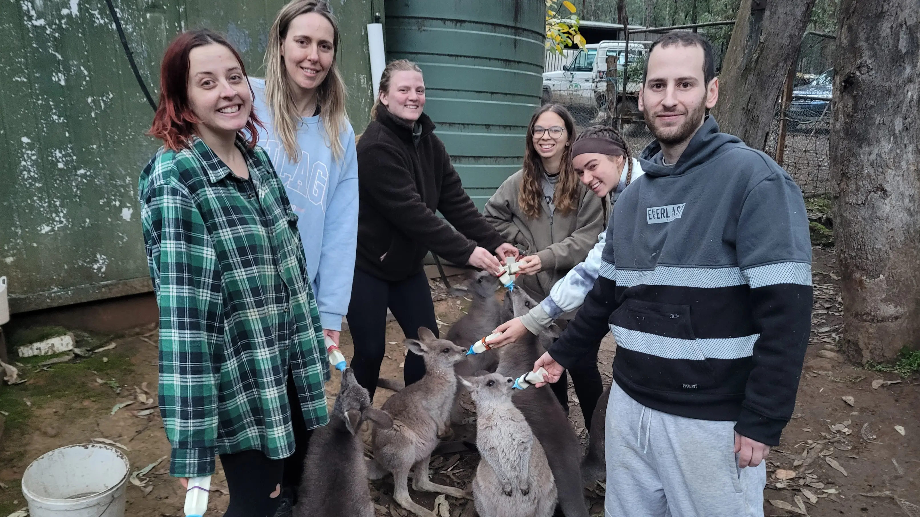 Young overseas travellers love volunteering for wildlife shelter