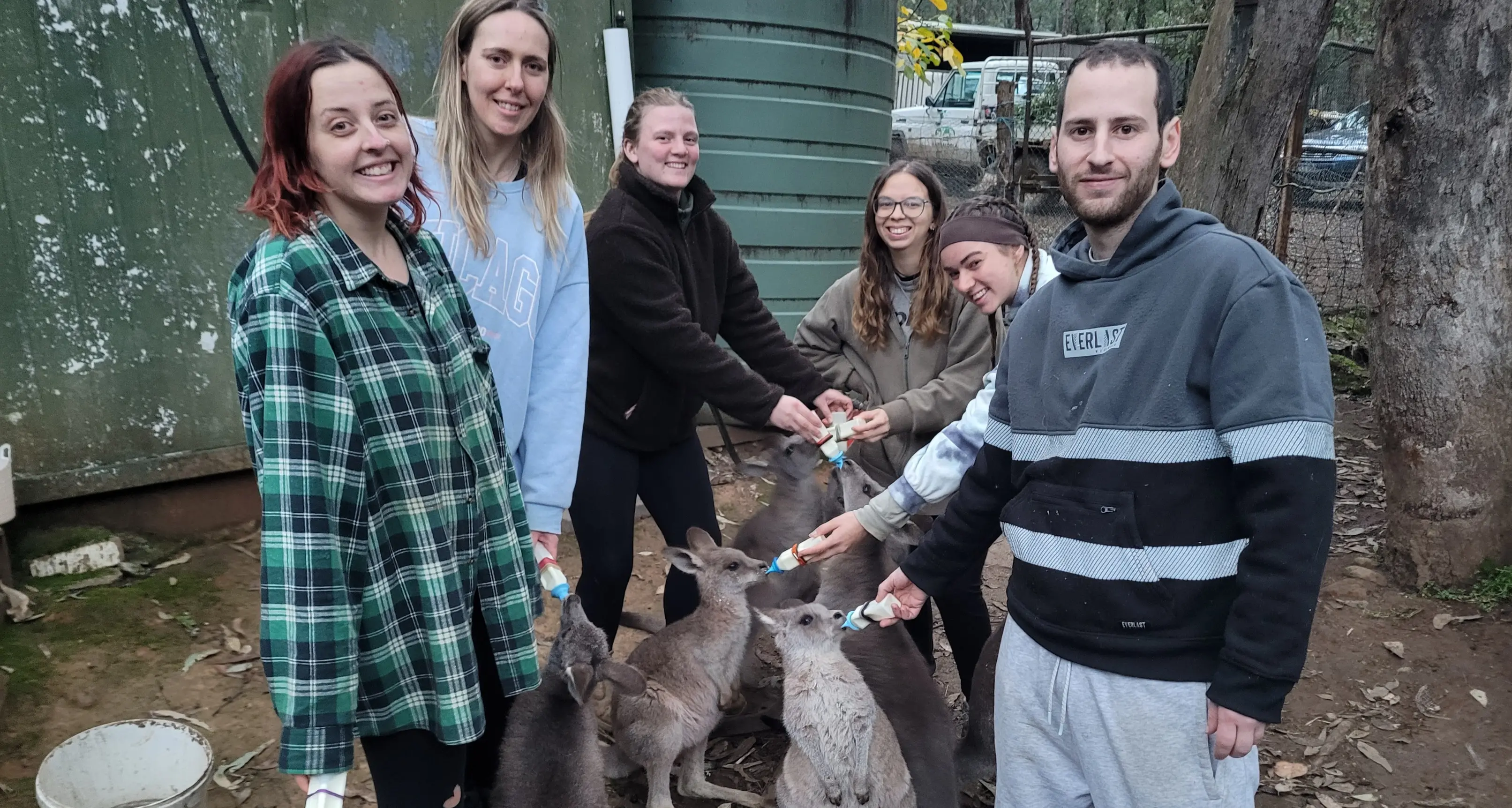 Young overseas travellers love volunteering for wildlife shelter