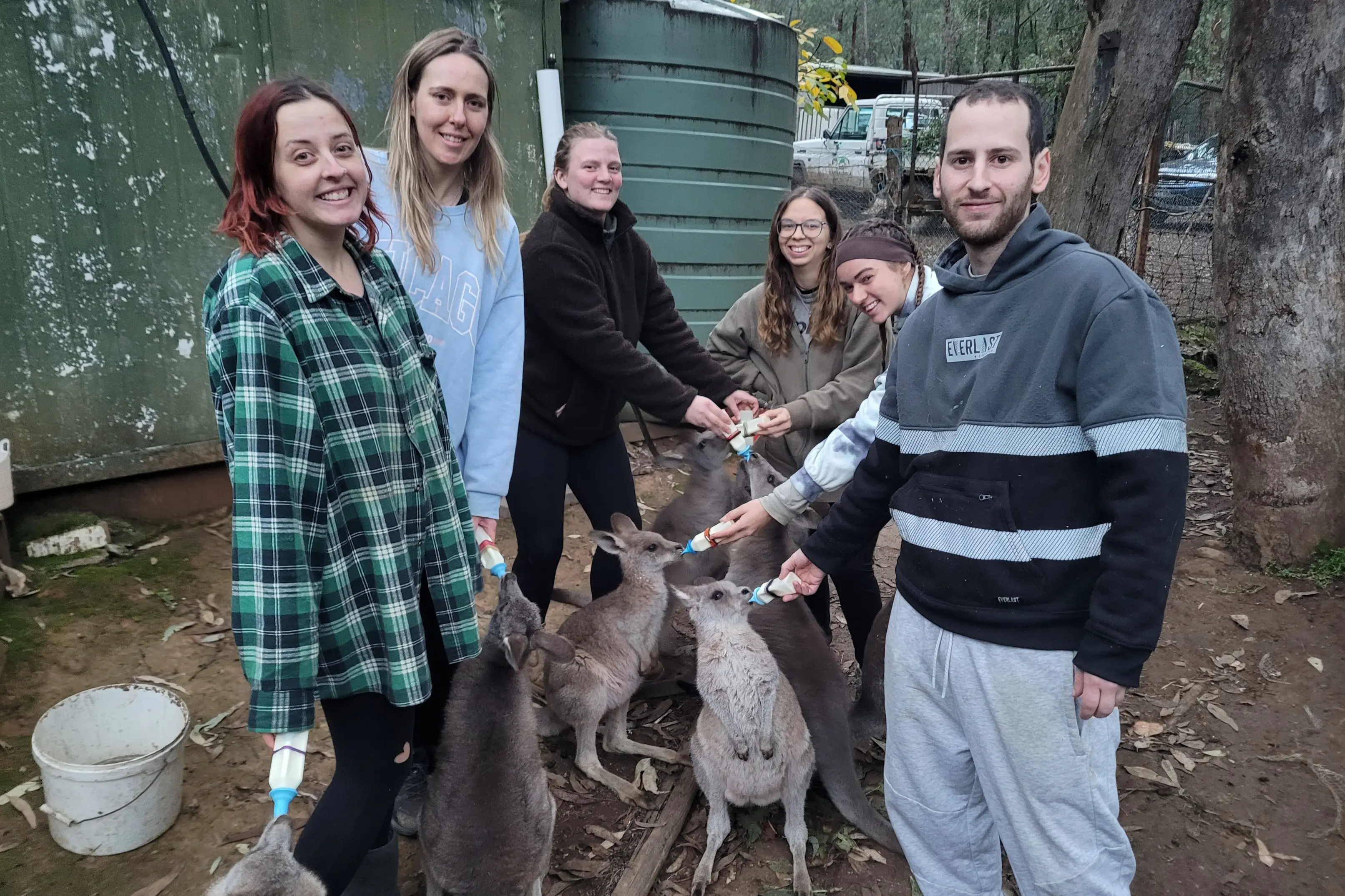 <p>EXCITED VOLUNTEERS: Overseas travellers Lorna Dalziel (left and from the UK), Jess Knight (UK), Rache Belle (Belgium), Valerie Krausse (Germany), Anna Stabaver (Austria) and Navof Senderovitch (Israel) enjoy being volunteers at the Kangaloola Wildlife Shelter. PHOTO: Coral Cooksley </p>\\n