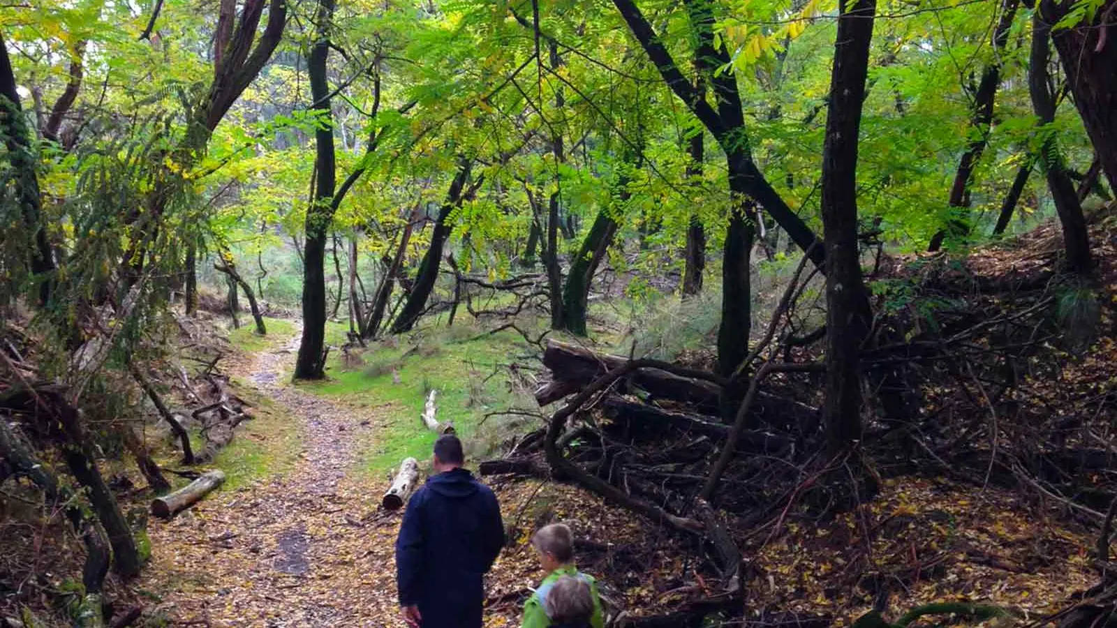 Dangerous section of Beechworth track replaced