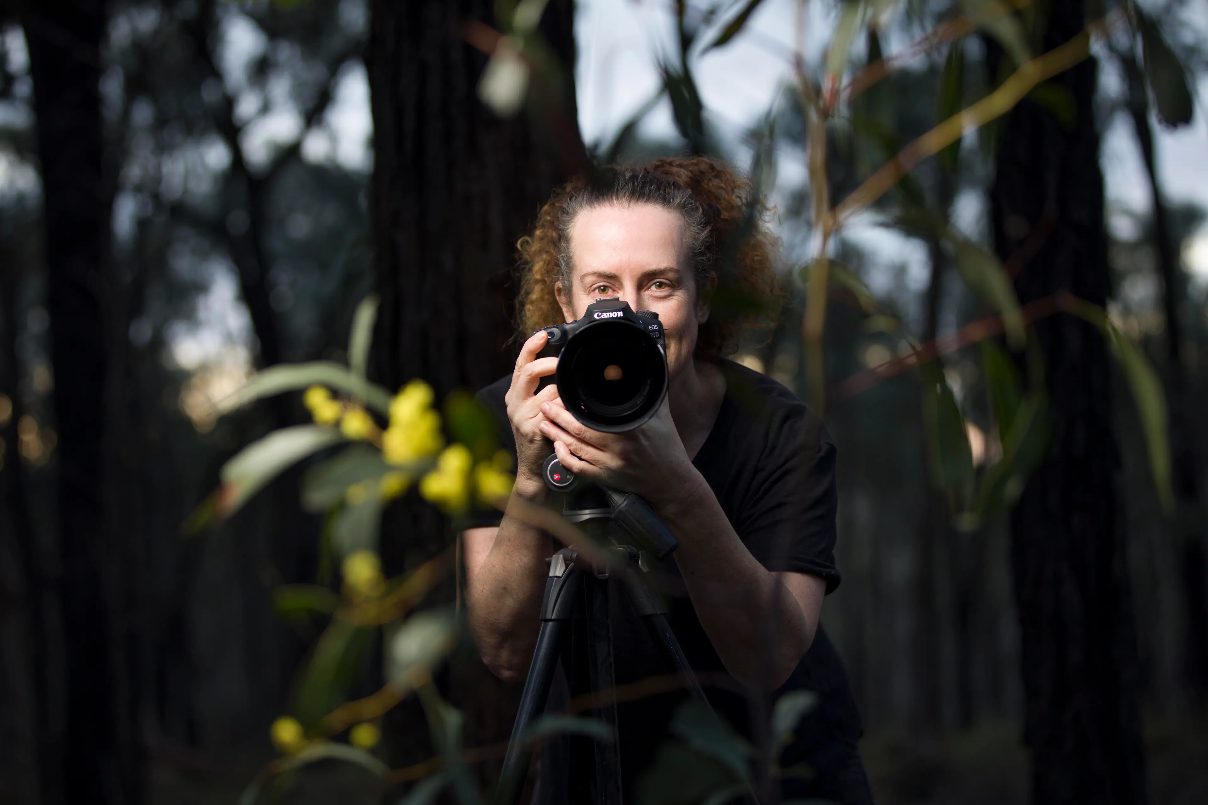 <p>FOCUSED: Multidisciplinary artist Nat Ord is a commercial photographer, videographer, spoon carver and runs a store in Chiltern. PHOTO COPYRIGHT: Nat Ord</p>\\n