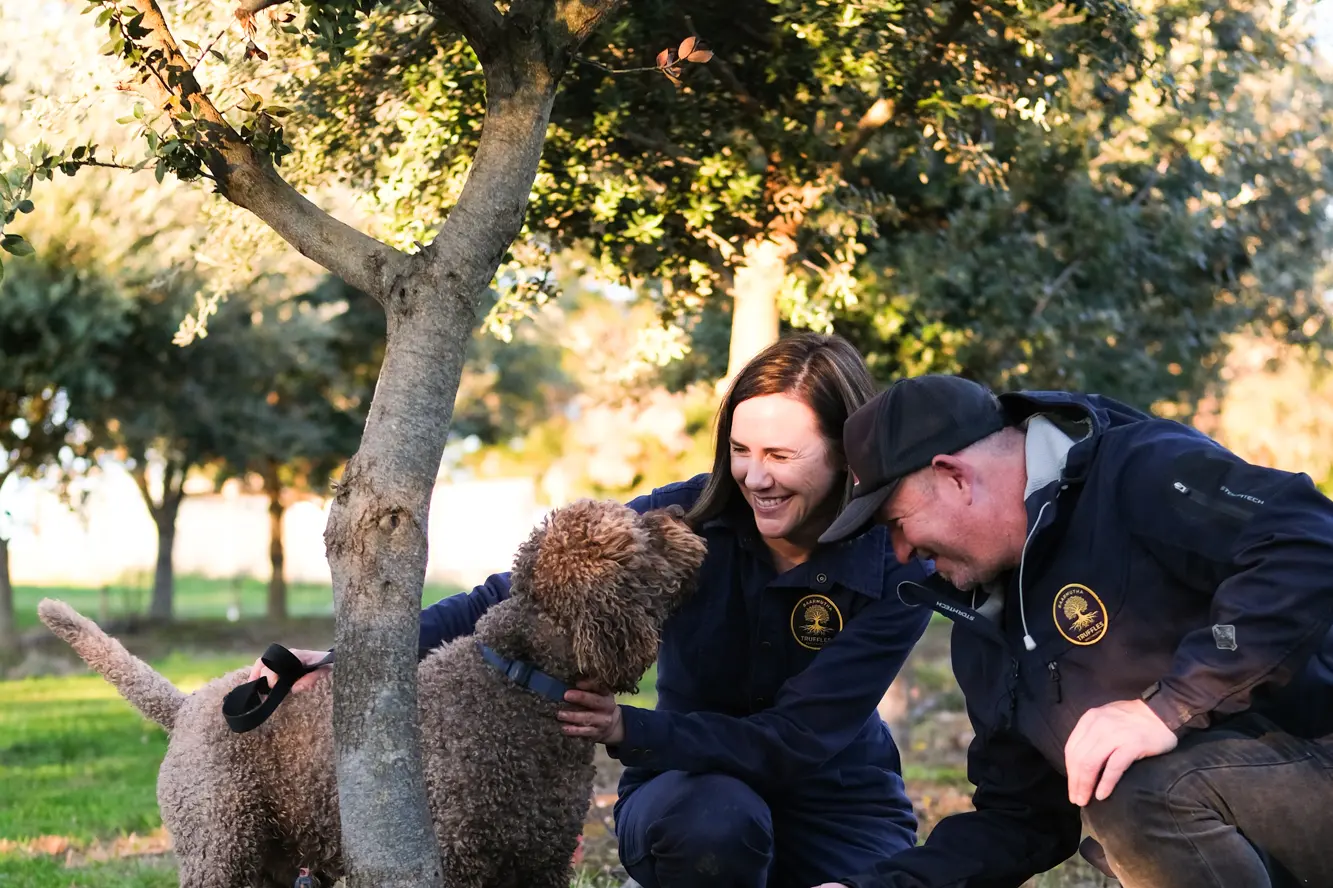 <p>TRAINED: Baarmutha Truffles\\' Jill Croome with her husband Ben and \\'truffle trained\\' dog, Dante. </p>\\n
