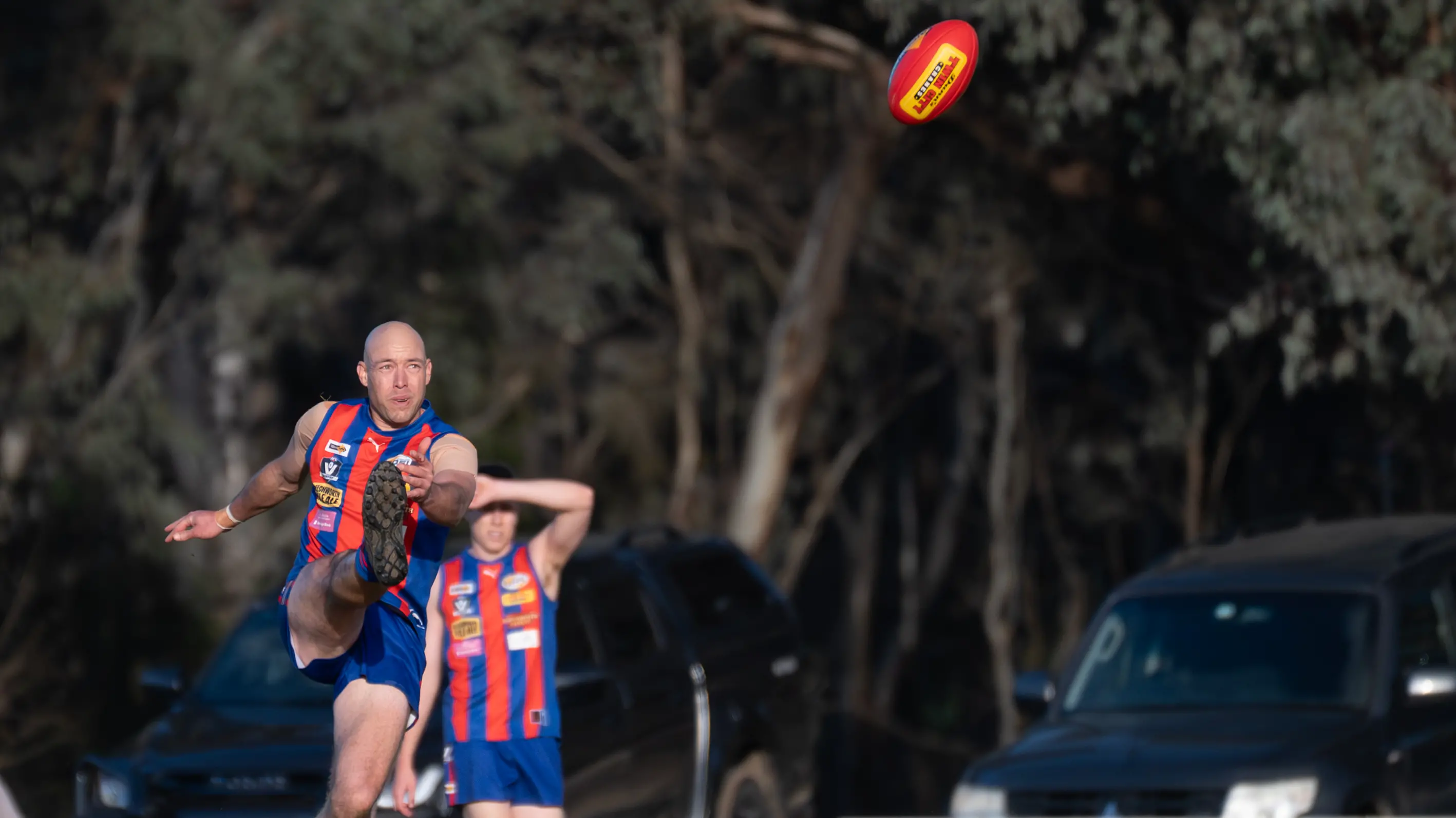 Surrey’s consistency rewarded with TDFL player of the year
