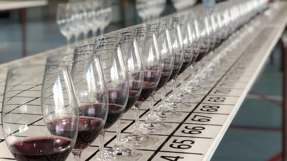 Wine uncorked for judging