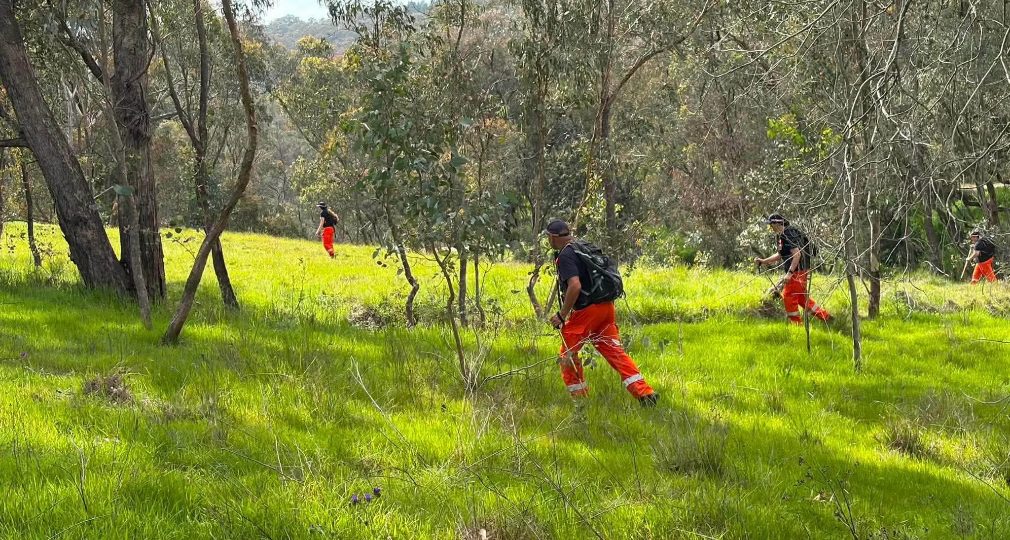 Local SES assist in major search near Albury
