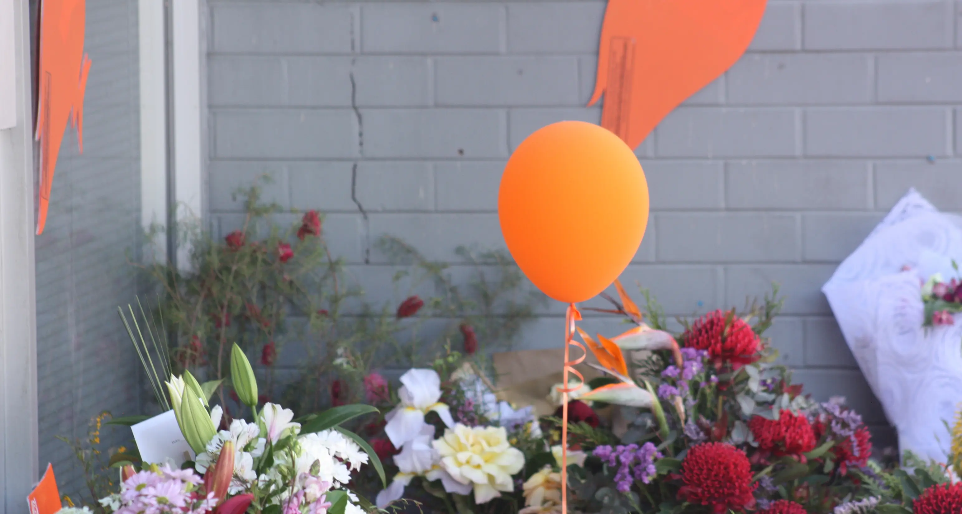Staff reopen MPs Murphy St electorate office